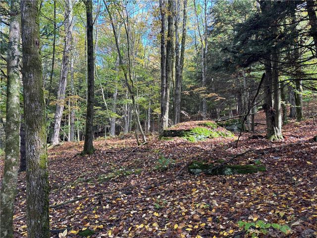 440 Lower Green Street, Otego, NY 13825