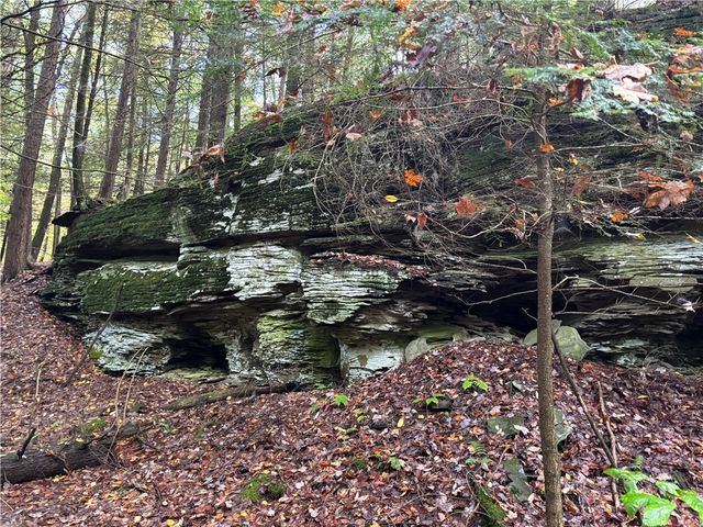 440 Lower Green Street, Otego, NY 13825