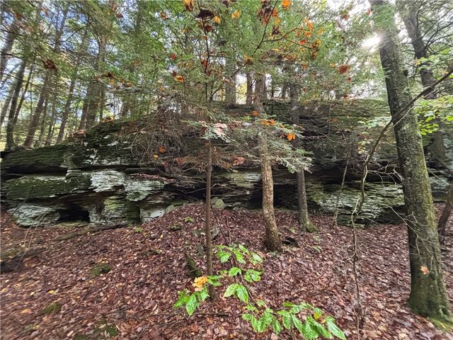 440 Lower Green Street, Otego, NY 13825