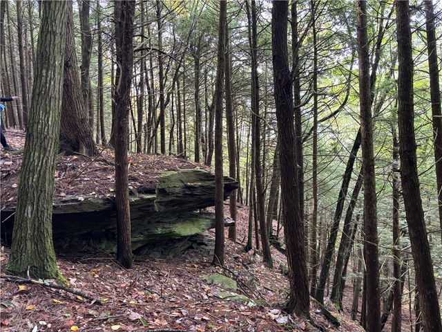 440 Lower Green Street, Otego, NY 13825