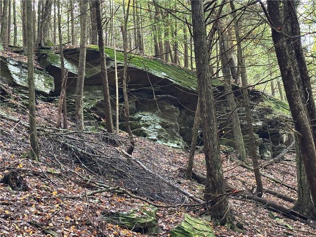 440 Lower Green Street, Otego, NY 13825