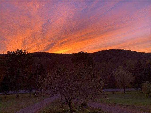 440 Lower Green Street, Otego, NY 13825