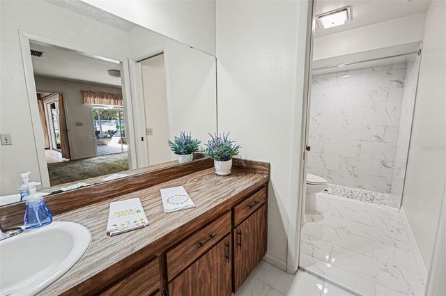 10414 RECLINATA LANE, Tampa, FL 33618