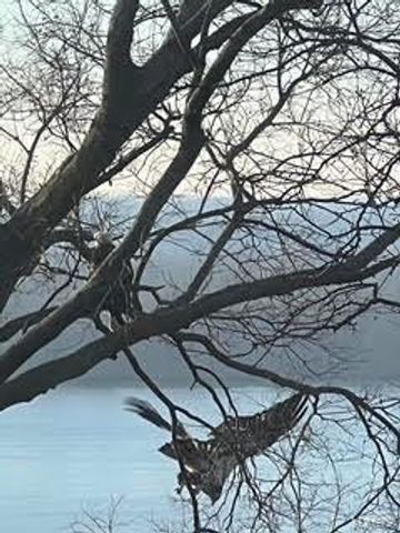 3403 Riverview Court, Godfrey, IL 62035