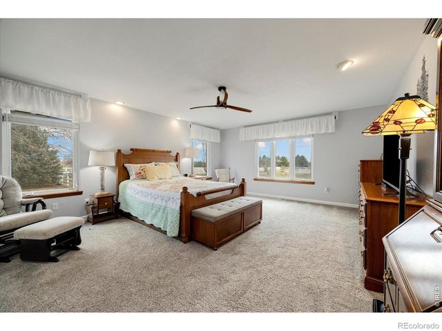 3806 Singletree Court, Mead, CO 80542