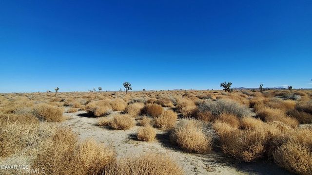 0 Vicinity Avenue L2 & 77th East, Palmdale, CA 93535
