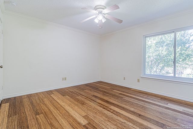 3003 Cassowary, San Antonio, TX 78247