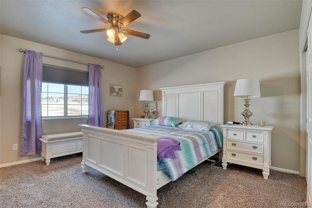 17 Garfield Circle, Florissant, CO 80816