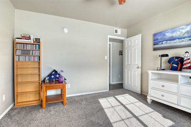 17 Garfield Circle, Florissant, CO 80816