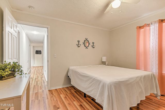 3117 Avoca Road, Bristol, TN 37620