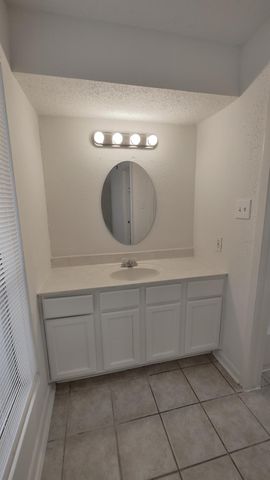 781 Country Place Drive 1061, Houston, TX 77079