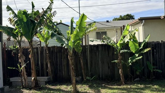 2745 Funston Street, Hollywood, FL 33020