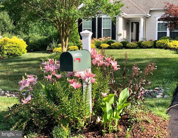 34071 TREADWELL CIR, Lewes, DE 19958