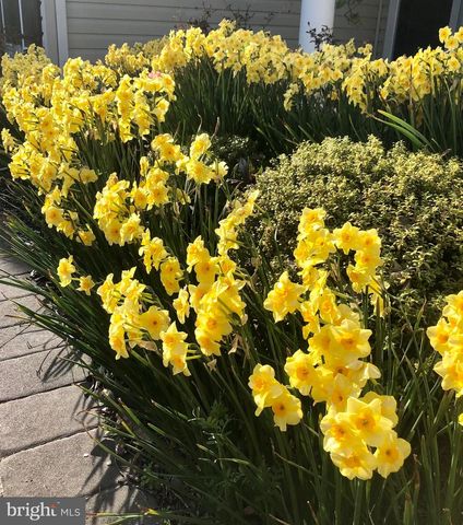 34071 TREADWELL CIR, Lewes, DE 19958