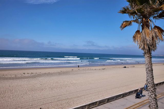 3377 Ocean Front Walk, San Diego, CA 92109