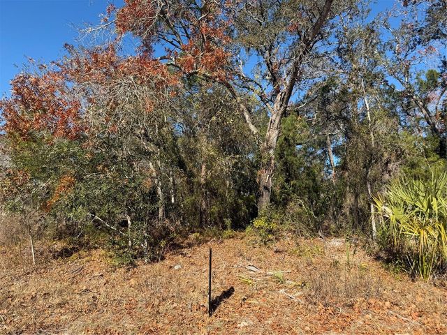 4307 CASTLE AVENUE, Spring Hill, FL 34609