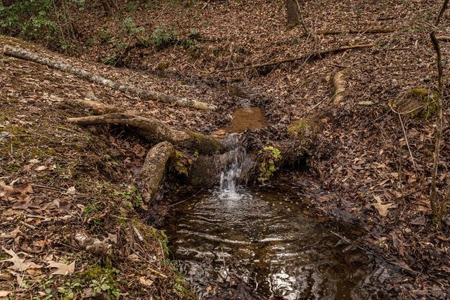 15 Bootleg Mountain Road, Morganton, GA 30560