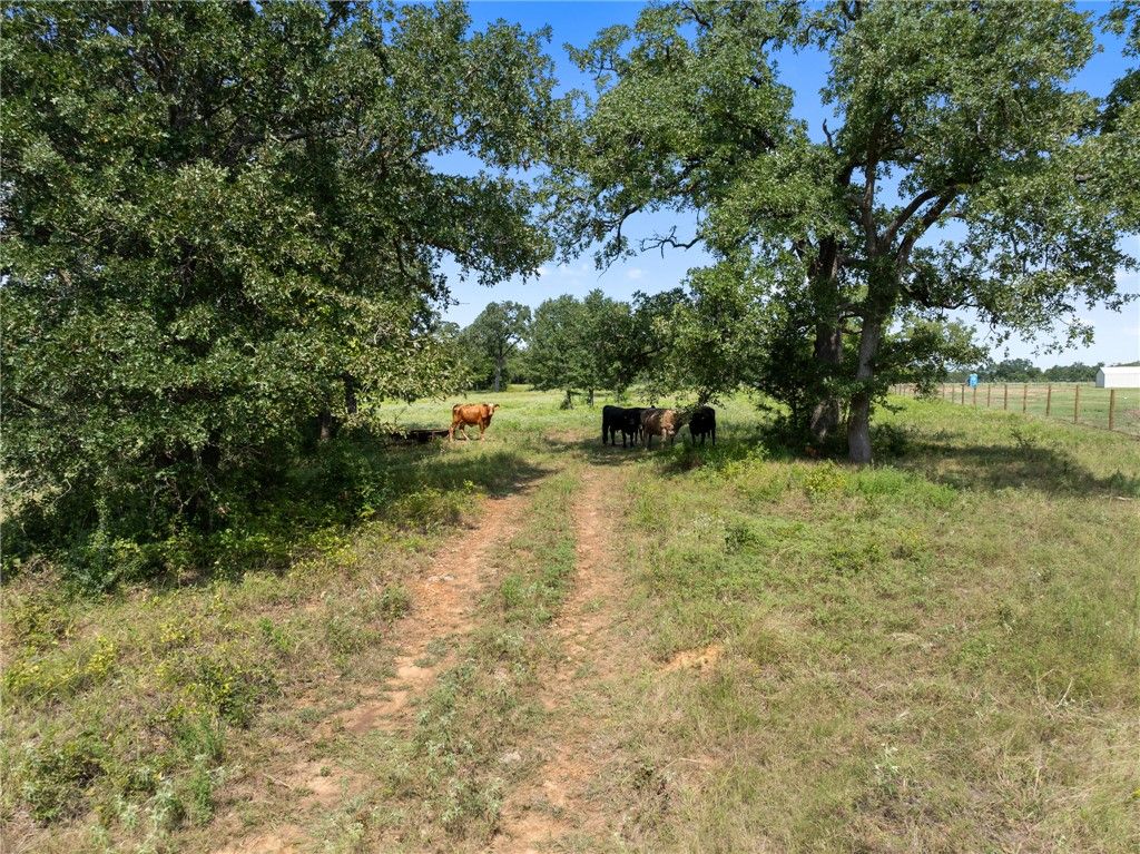 TBD Cazey Loop, Franklin, TX 77856 — photo 2