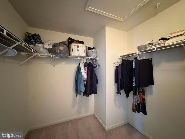 8239 BROOKTREE ST, Laurel, MD 20724