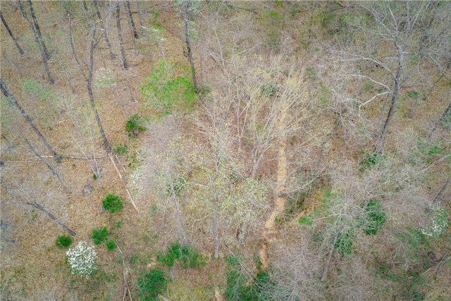 11925 Arkie Road, Rogers, AR 72756