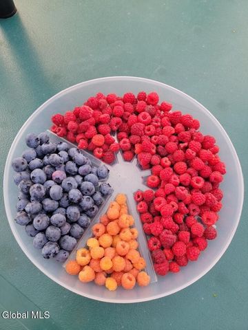 13 Dover Drive, Colonie, NY 12110