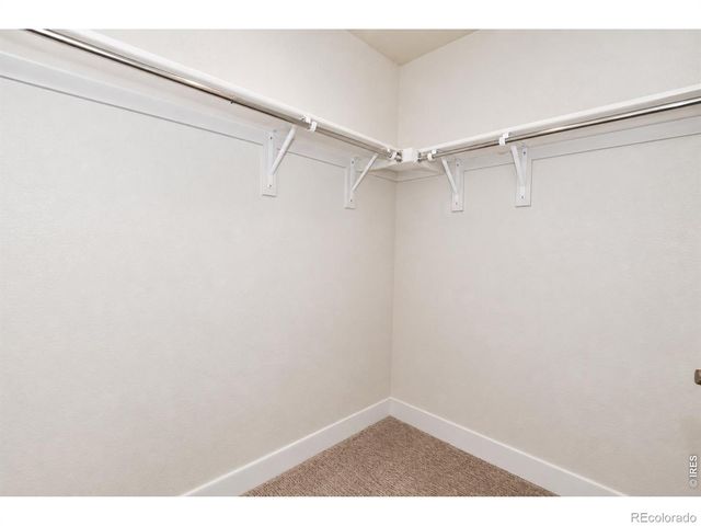 2894 Donatello Street, Loveland, CO 80538