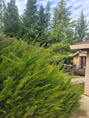 3417 Secret Lake Trail, Cool, CA 95614