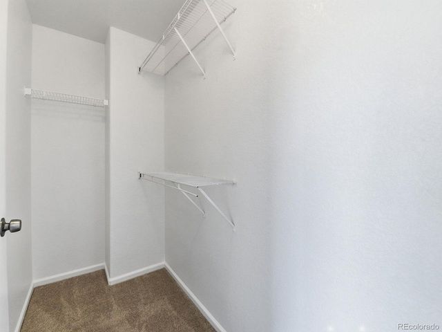 4864 Genoa St, Denver, CO 80249