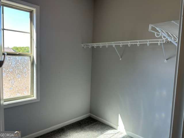 7005 Branch Creek Cove, Flowery Branch, GA 30542