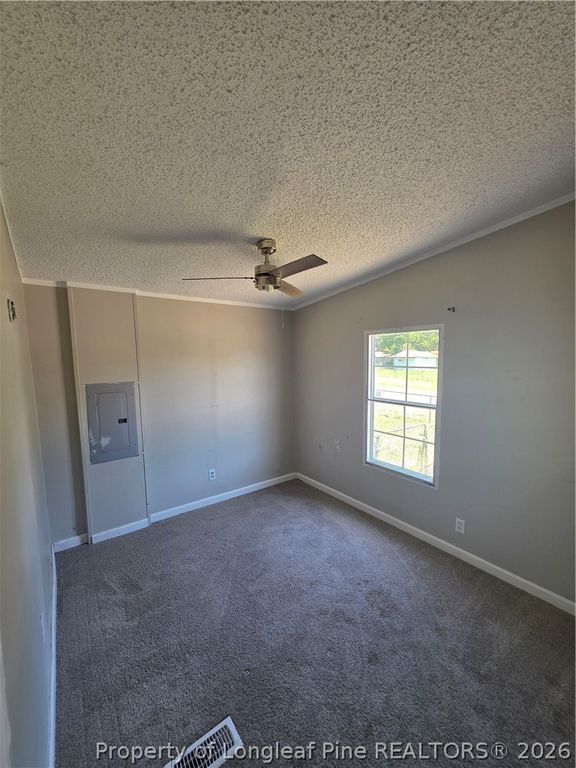 824 Blue Road, Parkton, NC 28371 — photo 14