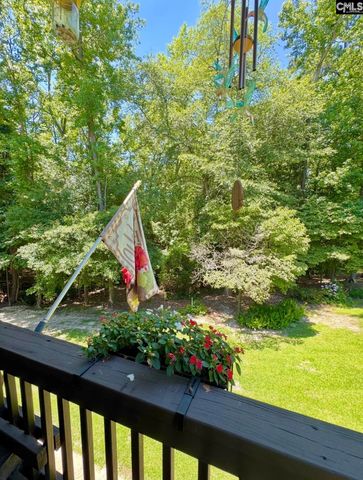 115 Rocky Meadow Drive, Gilbert, SC 29054