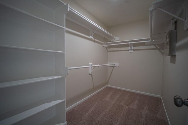 6426 Cape Forward Drive, Houston, TX 77083