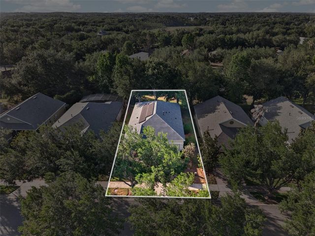 111 FLAME VINE WAY, Groveland, FL 34736