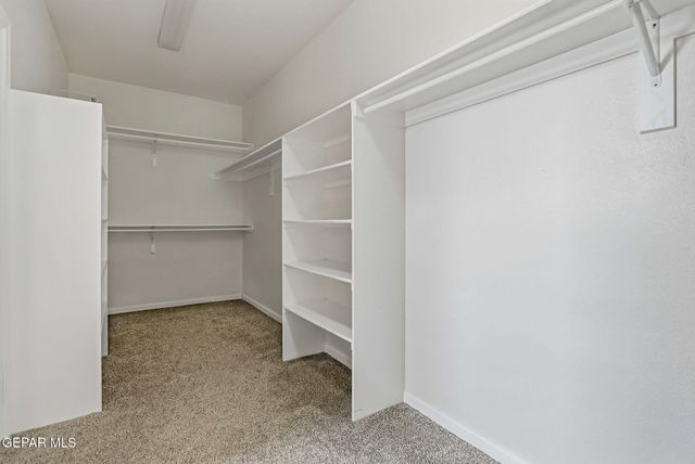 7370 NAVIDAD Way, Canutillo, TX 79835