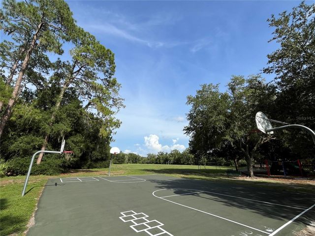 4038 LITHIA RIDGE BOULEVARD, Valrico, FL 33596