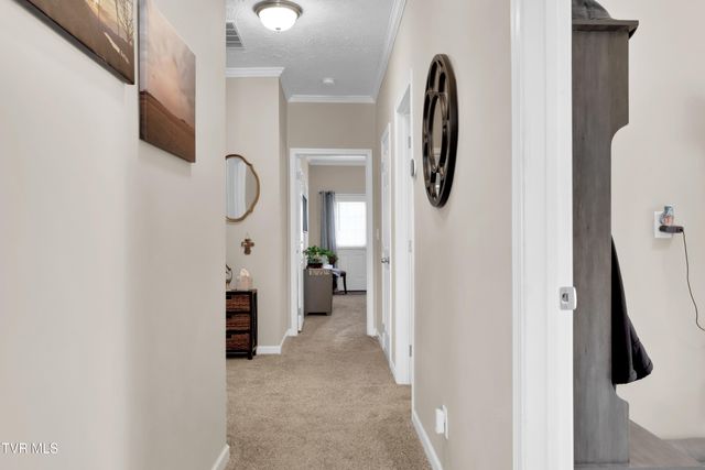 1120 Myrtle Drive, Butler, TN 37640