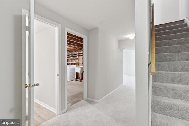 8646 IVY MINT CT, Springfield, VA 22153