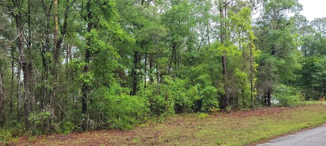 9781 N LORETTA WAY, Citrus Springs, FL 34434