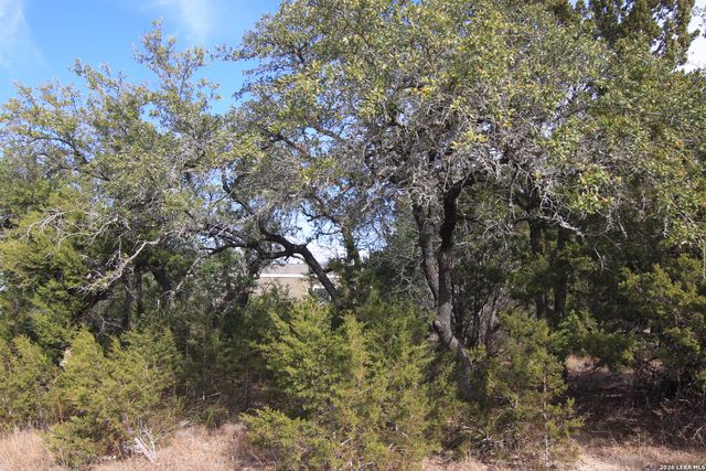 2023 Harmon Hills, Dripping Springs, TX 78620