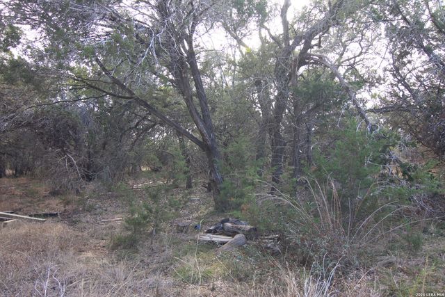 2023 Harmon Hills, Dripping Springs, TX 78620