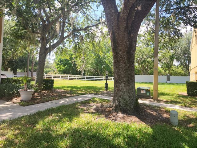 1317 THROCKMORTON DRIVE, Wesley Chapel, FL 33543