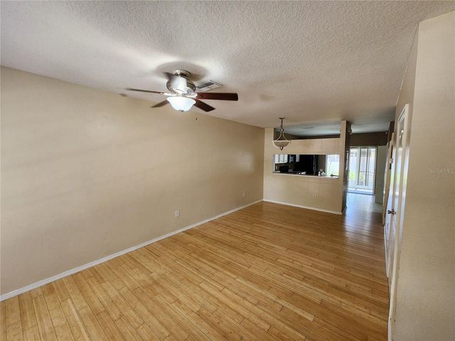 1317 THROCKMORTON DRIVE, Wesley Chapel, FL 33543