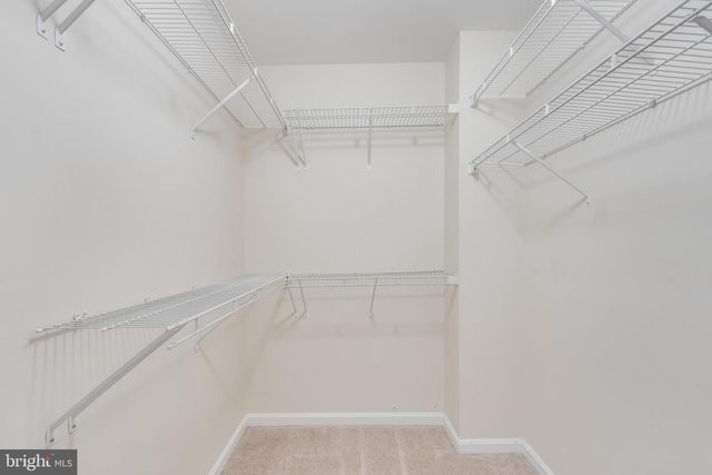 8735 STONE HILL PL, Springfield, VA 22153