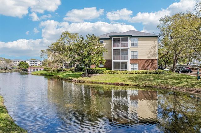 4211 CHATHAM OAK COURT 123, Tampa, FL 33624