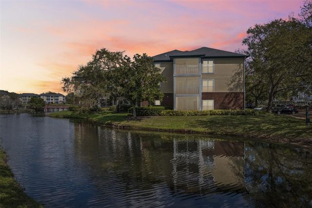 4211 CHATHAM OAK COURT 123, Tampa, FL 33624