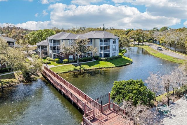 4211 CHATHAM OAK COURT 123, Tampa, FL 33624