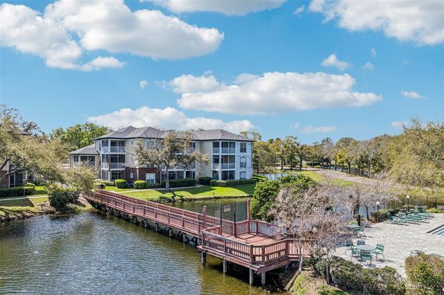 4211 CHATHAM OAK COURT 123, Tampa, FL 33624