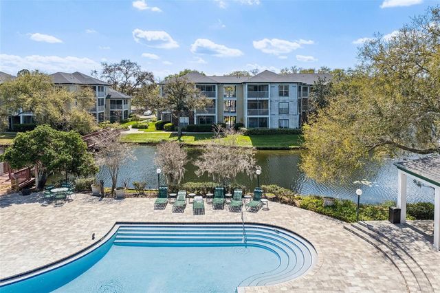 4211 CHATHAM OAK COURT 123, Tampa, FL 33624