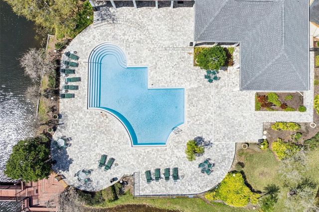 4211 CHATHAM OAK COURT 123, Tampa, FL 33624