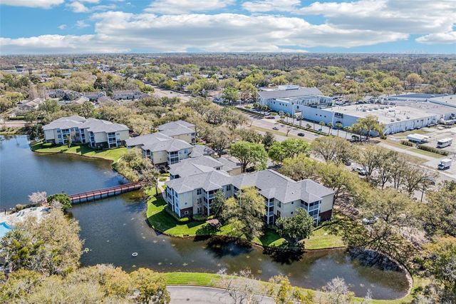 4211 CHATHAM OAK COURT 123, Tampa, FL 33624